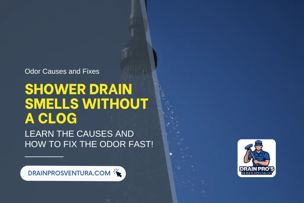 Why Your Shower Drain Smells Bad Even Without a Clog