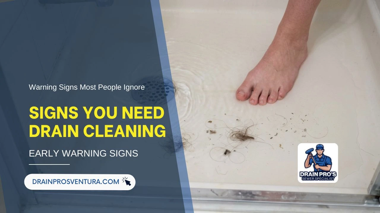 signs you need drain cleaning