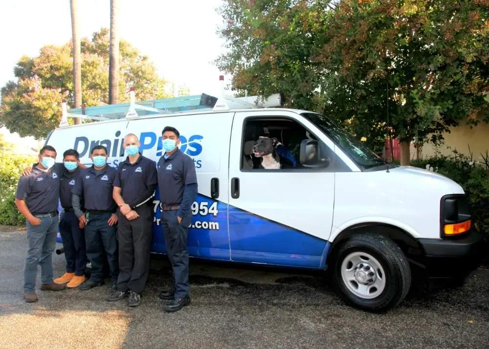 Four Drains Pros Ventura technicians, wearing masks and blue shirts, stand in front of a white and blue company van, showcasing their commercial plumbing services. A black and white dog can be seen looking out from the passenger window of the van. The van has 'Drain Pros' branding and a phone number on its side. Trees are visible in the background.