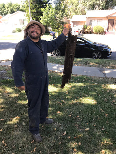 A Drains Pros Ventura team member, wearing a blue jumpsuit and a hat, stands on a grassy lawn after work, smiling and holding up a long, dark, root-bound section of pipe or debris removed from a drain. In the background, a street with houses and a black car can be seen.