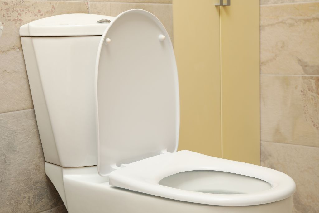 Toilet Is Not Flushing Properly