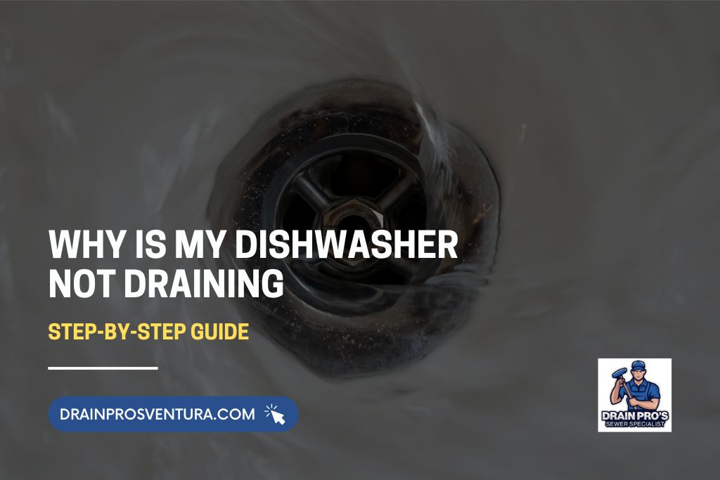Why Is My Dishwasher Not Draining