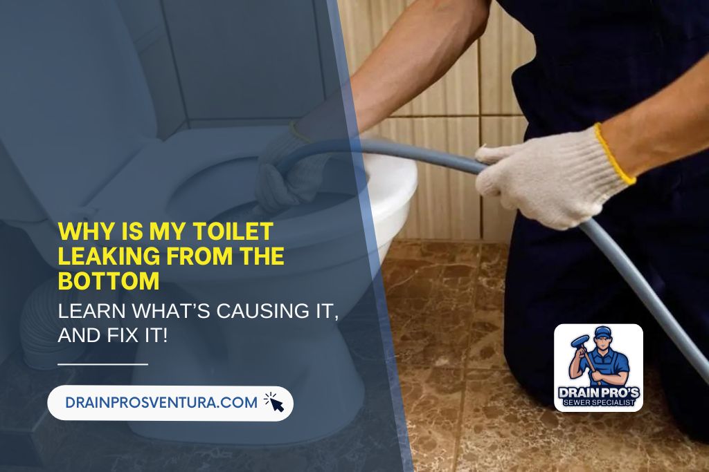 toilet leaking from bottom