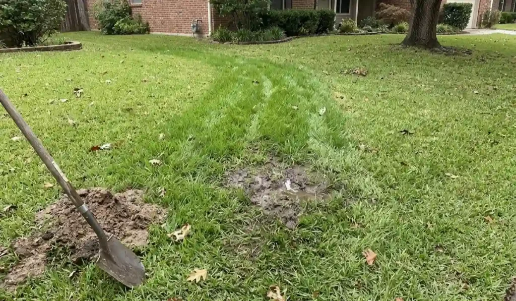 signs of sewer line damage