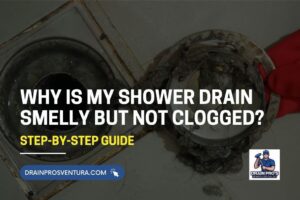 Why Is My Shower Drain Smelly but Not Clogged