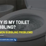 Bubbling toilet bowl showing plumbing blockage issue