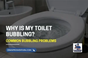 Bubbling toilet bowl showing plumbing blockage issue